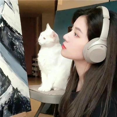 花生总统的心灵鸡汤
